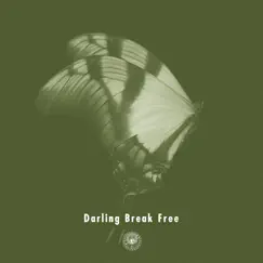 Darling Break Free (feat. Michael Kaneko) Song Lyrics