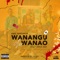 Wanangu Na Wanao (feat. Rosa Ree) - OMG Tanzania lyrics