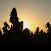Karmawin - Sunset Beat