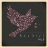 Skydive, Vol. 06