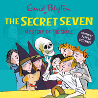 Pamela Butchart & Enid Blyton - Mystery of the Skull artwork