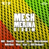 Mesh Marina Riddim