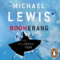 Michael Lewis - Boomerang artwork