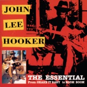 John Lee Hooker - The Motor City Is Burning