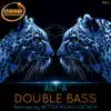 Double Bass - Single album lyrics, reviews, download