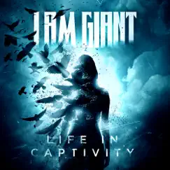 Life in Captivity Song Lyrics