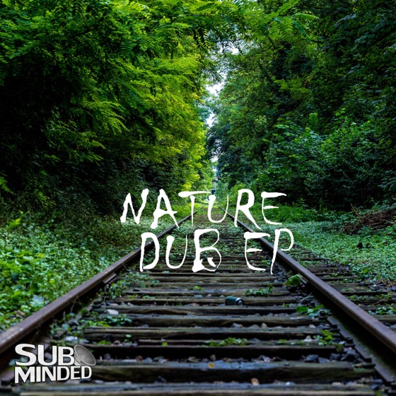 Cover artwork for Fake Paradise (Julez and Flowa Remix)