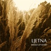 Ljetna - Single