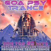 Goa Psy Trance 2019 Top 40 Hits Psychedelic Fullon Trance Progressive Techno Dance artwork