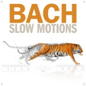 Bach Slow Motions artwork