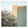 Flowers & Dust - EP