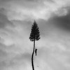 Manchester Orchestra - The Maze