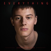 Everything artwork