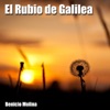 El Rubio de Galilea