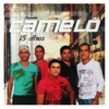 Banda Camelô - O Som das Antigas