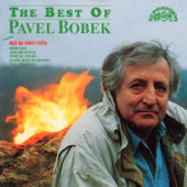 The Best Of Pavel Bobek - Pavel Bobek