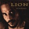 Universal Pain (feat. Prince Malachi) - Lion lyrics