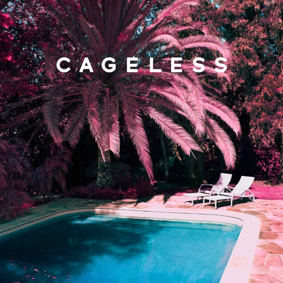 Cover artwork for 17