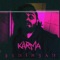 Karma artwork