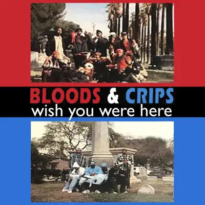 Wish You Were Here - EP - Bloods and Crips