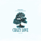 Crazy Love artwork
