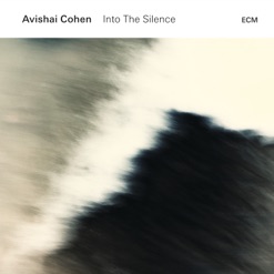 INTO THE SILENCE cover art