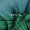 Fragments