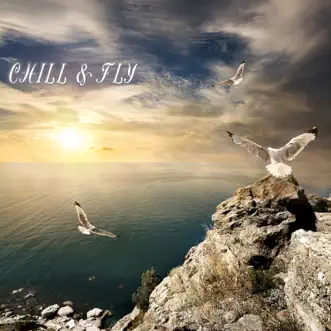 Chill & Fly by Various Artists album reviews, ratings, credits