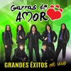 Grandes Éxitos (En Vivo), 2016