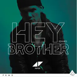 Hey Brother (Remixes) - Single - Avicii