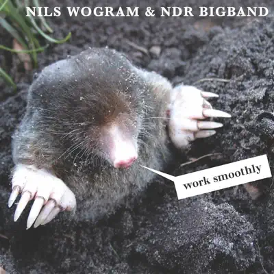 Work Smoothly - NDR Bigband
