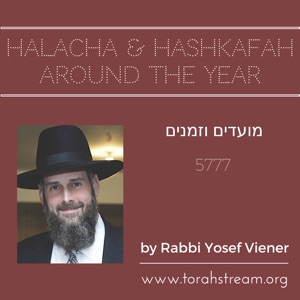 2017-03-04 Purim and Year Around Reflections: How to hold your own when it is politically incorrect?