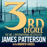 James Patterson & Andrew Gross - 3rd Degree artwork