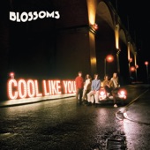 I Can't Stand It by Blossoms