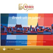 Groot Is Uw Naam (feat. Ars Musica Orkest, Marco den Toom & Johan Bredewout) artwork