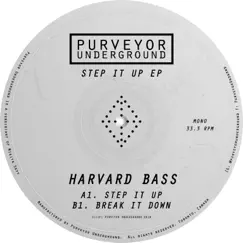 Step It Up - Single by Harvard Bass album reviews, ratings, credits