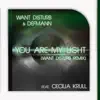 You Are My Light (Want Disturb Remix) (feat. Cecilia Krull) - Single album lyrics, reviews, download