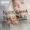 Never Gonna Take U Back (feat. River) - Single album lyrics, reviews, download