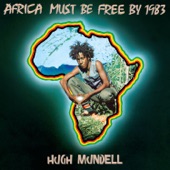 Africa Must Be Free By 1983 artwork