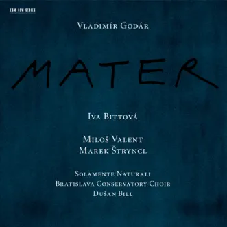 Regina coeli by Iva Bittová, Milos Valent, Marek Stryncl, Bratislava Conservatory Choir, Solamente Naturali, Premysl Vacek, Peter Gul'as & Dusan Bill song reviws