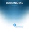 To Run (Noah Becker Holosound RMX) - Dudu Nahas lyrics
