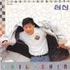 Shim Shin - I Even Love Your Sadness