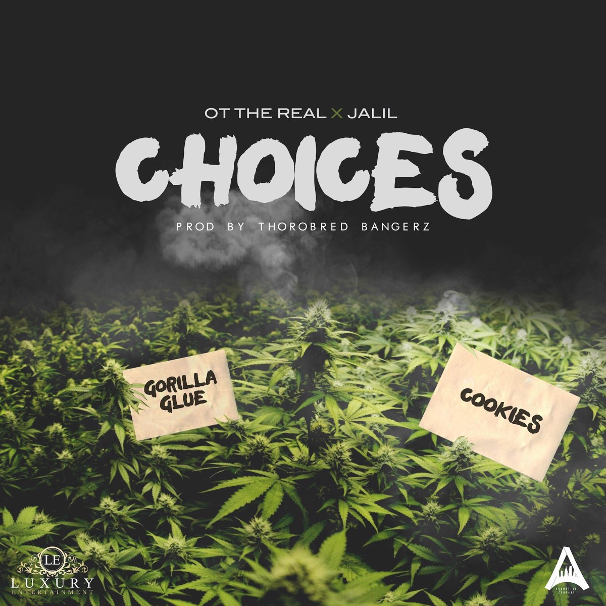 Choices album. Choice песня. Слушать the real. Choice перевод песни.