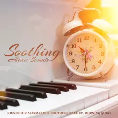 Soothing Alarm Sounds (Sounds for Alarm Clock, Soothing Wake up, Morning Glory) by Various Artists album reviews, ratings, credits