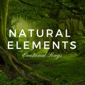 Natural Elements - Inner Inward Meditation, Harmony of the Elements, Relaxing Background Music, Emotional Songs artwork
