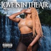 Love Is in the Air - Single