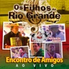 Encontro de Amigos - Ao Vivo