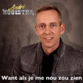 Want Als Je Me Nou Zou Zien artwork