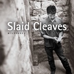 Slaid Cleaves - New Year's Day