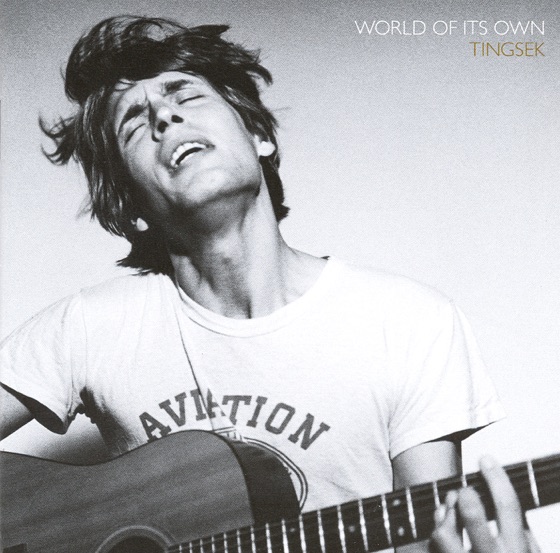 Cover artwork for Shake the Disease